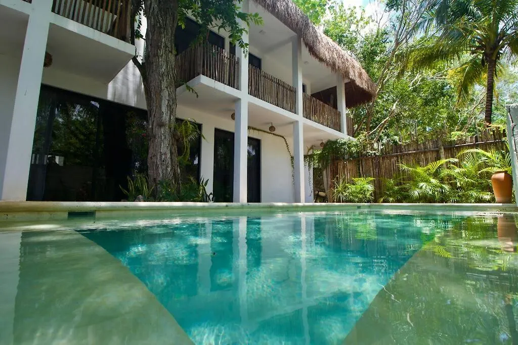 Casa Angelica Villa Bacalar Mexico